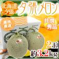 【産地直送】北海道 夕張メロン 2玉 約3.2kg 共撰・秀品 化粧箱入り”秀5-2玉”【予約 6月下旬以降】 送料無料