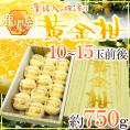 鹿児島産 ”黄金柑” 秀品 10~15玉前後 約750g 化粧箱入り【予約 3月下旬以降】 送料無料