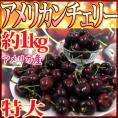 アメリカ産 ”アメリカンチェリー” 特大 約1kg【予約 5月下旬以降】 送料無料