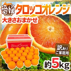 愛媛県 ”タロッコオレンジ” 訳あり 約5kg 大きさおまかせ ブラッドオレンジ【予約 4月以降】 送料無料