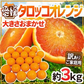 愛媛県 ”タロッコオレンジ” 訳あり 約3kg 大きさおまかせ ブラッドオレンジ【予約 4月以降】 送料無料