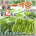 九州・和歌山産他 ”一寸豆（そら豆）” 約2kg 大きさおまかせ【予約 入荷次第発送】 送料無料
