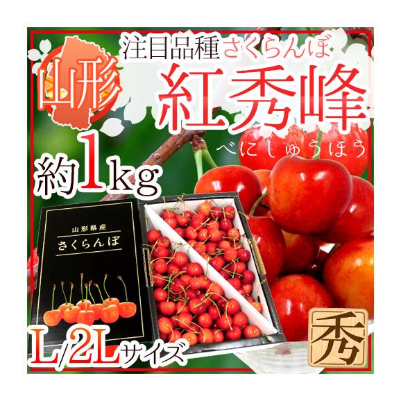 山形産 さくらんぼ &rdquo;紅秀峰（べにしゅうほう）&rdquo; 秀品 大粒 L/2Lサイズ 約1kg【予約 6月末以降】 送料無料01