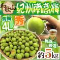 ”紀州・和歌山産 南高梅 青梅” 秀品 4L 約5kg【予約 5月中旬以降】 送料無料