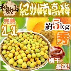 紀州・和歌山産 ”南高梅 完熟” 秀品 2L～3L 約5kg【予約 6月以降】 送料無料