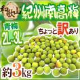 ”紀州・和歌山産 南高梅 青梅” ちょっと訳あり 2L～3L 約3kg【予約 5月中旬以降】 送料無料