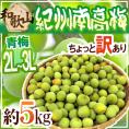 ”紀州・和歌山産 南高梅 青梅” ちょっと訳あり 2L～3L 約5kg【予約 5月中旬以降】 送料無料