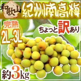 紀州・和歌山産 ”南高梅 完熟” 2L～3L 約3kg ちょっと訳あり【予約 6月以降】 送料無料