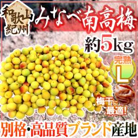 紀州・和歌山産 ”みなべ南高梅 熟梅” 秀品 L 約5kg【予約 6月以降】 送料無料