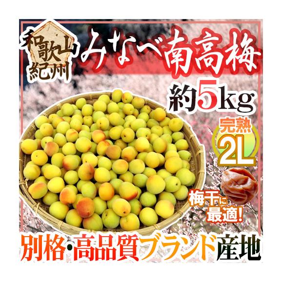 紀州南高梅 秀品 2Lサイズ 5kg