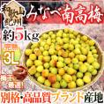 紀州・和歌山産 ”みなべ南高梅 熟梅” 秀品 3L 約5kg【予約 6月以降】 送料無料