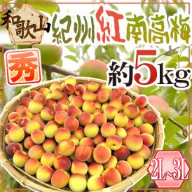 紀州・和歌山産 ”紅南高梅” 秀品 2L～3L 約5kg【予約 5月下旬以降】 送料無料