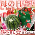 母の日ギフト ”熊本すいか” 2Lサイズ 約7kg以上 カーネーション造花付き 化粧箱【予約 5月2日~5月10日お届け予定】 送料無料