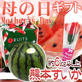 母の日ギフト ”熊本すいか” Lサイズ 約6kg以上 カーネーション造花付き 化粧箱【予約 5月3日～5月12日お届け予定】 送料無料