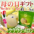 母の日ギフト ”静岡 クラウンメロン” 1玉 約1.5kg カーネーション造花付き 専用化粧箱【予約 5月2日～5月10日お届け予定】 送料無料