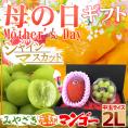 母の日ギフト ”宮崎マンゴー2L”・シャインマスカット ダイヤpc カーネーション造花セット 化粧箱【予約 5月2日~5月10日お届け予定】 送料無料