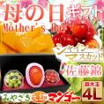 母の日ギフト ”宮崎マンゴー超大玉4L”・シャインマスカット ダイヤpc・佐藤錦・カーネーション造花 化粧箱【予約 5月2日~5月10日お届け予定】 送料無料