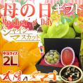母の日ギフト 宮崎マンゴー ”太陽のタマゴ2L”・シャインマスカット ダイヤpc カーネーション造花 化粧箱【予約 5月2日～5月10日お届け予定】 送料無料