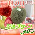 母の日ギフト ”肥後グリーンメロン” カーネーション生花付き 1玉 秀/優品 約1.5～2kg【予約 5月2日～5月10日お届け予定】 送料無料