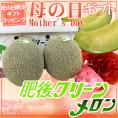 母の日ギフト ”肥後グリーンメロン” カーネーション生花付き 秀/優品 2玉 約3～4kg（1玉約1.5～2kg）【予約 5月2日～5月10日お届け予定】 送料無料