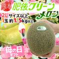 母の日ギフト ”肥後グリーンメロン” カーネーション造花 秀/優品 2L 1玉約1.5kg以上 【予約 5月2日～5月10日お届け予定】 送料無料