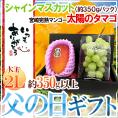 父の日ギフト ”シャインマスカット＋太陽のタマゴ” 1pc約350g＋大玉2Lサイズ350g以上＋黄色バラ造花1本【予約 6月14～21日お届け予定】 送料無料