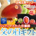 遅れてごめんね！父の日ギフト ”佐藤錦＋シャインマスカット ダイヤpc＋宮崎完熟マンゴー” 特大玉4Lサイズ＋黄色バラ造花1本【予約 6月16日以降】 送料無料