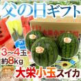 遅れてごめんね！父の日ギフト ”大栄小玉スイカ 姫甘泉” 3～4玉 約8kg＋黄色バラ造花1本 専用産地箱 鳥取産【予約 6月16日以降】 送料無料