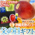 父の日ギフト ”シャインマスカット ダイヤpc＋沖縄完熟マンゴー” 超大玉3Lサイズ＋黄色バラ造花1本【予約 6月8～15日お届け予定】 送料無料