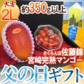 遅れてごめんね！父の日ギフト ”佐藤錦＋宮崎完熟マンゴー” 大玉2Lサイズ＋バラ造花1本【予約 6月16日以降】 送料無料