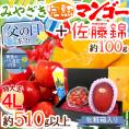 父の日ギフト ”佐藤錦＋宮崎完熟マンゴー” 特大玉4Lサイズ＋黄色バラ造花1本【予約 6月14～21日お届け予定】 送料無料