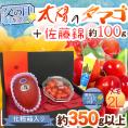 遅れてごめんね！父の日ギフト ”佐藤錦＋太陽のタマゴ” 大玉2Lサイズ＋黄色バラ造花1本【予約 6月16日以降】 送料無料