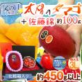 遅れてごめんね！父の日ギフト ”佐藤錦＋太陽のタマゴ” 超大玉3Lサイズ＋黄色バラ造花1本【予約 6月16日以降】 送料無料