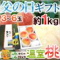 父の日ギフト ”温室桃” 3～6玉 約1kg＋黄色バラ造花1本 化粧箱 佐賀産 白鳳/日川白鳳【予約 6月14～21日お届け予定】 送料無料