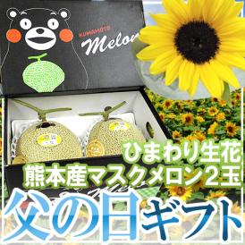 父の日ギフト ”マスクメロン＋ひまわり生花” くまモン化粧箱 2玉 約3kg以上 熊本産【予約 6月9～16日お届け予定】 送料無料