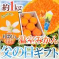 父の日ギフト ”有田 温室みかん” 秀品 12玉前後 約1kg+バラ造花1本【予約 6月14~21日お届け予定】 送料無料