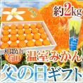 遅れてごめんね！父の日ギフト ”有田 温室みかん” 秀品 24玉前後 約2kg＋バラ造花1本【予約 6月16日以降】 送料無料