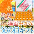 父の日ギフト ”長崎 マルナン 温室みかん” 秀品 20～24玉前後 約2.5kg＋バラ造花1本【予約 6月14～21日お届け予定】 送料無料
