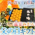 父の日ギフト ”長崎 マルナン 温室みかん 匠の味” 秀品 16～21玉前後 約1.3kg＋バラ造花1本【予約 6月14～21日お届け予定】 送料無料