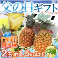 父の日ギフト ”スナックパイン” 2～3玉 約1.5kg＋黄色バラ造花1本 専用産地箱【予約 6月14～21日お届け予定】 送料無料