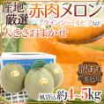 ”赤肉メロン” 訳あり 風袋込約4～5kg 大きさおまかせ 産地厳選 クインシーメロン、ルピアレッドメロン、レノンメロンなど【予約 6月中旬以降】 送料無料