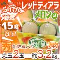 北海道 赤肉メロン ”らいでんレッドティアラメロン” 秀品 2玉 約3.2kg 化粧箱【予約 7月下旬以降】 送料無料
