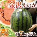  ”石川県 金沢すいか” 秀品 約7kg以上【予約 7月以降】 送料無料
