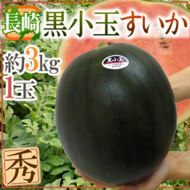 ”長崎県産 黒小玉スイカ” 秀品 1玉 約3kg【予約 7月以降】