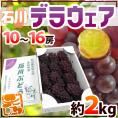 石川産 種なしぶどう ”デラウェア” 秀品 10～16房 約2kg【予約 7月上旬以降】 送料無料