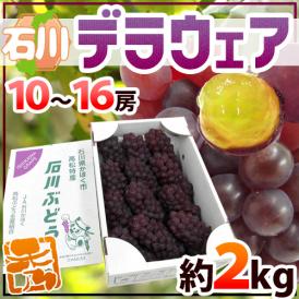 石川産 種なしぶどう ”デラウェア” 秀品 10～16房 約2kg【予約 7月上旬以降】 送料無料