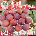 山梨・長野産 ”貴陽プラム” 12～20玉 約2kg【予約 7月下旬以降】
