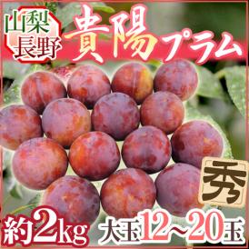 山梨・長野産 ”貴陽プラム” 12～20玉 約2kg【予約 7月下旬以降】