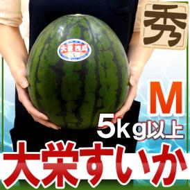 鳥取県 ”大栄すいか” 秀品 約5kg以上 Mサイズ 1玉 大栄西瓜【予約 6月以降】 送料無料