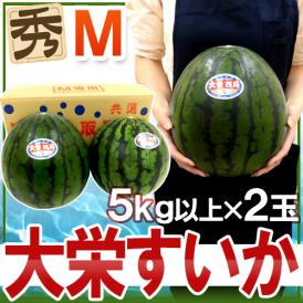 鳥取県 ”大栄すいか” 秀品 約5kg以上 Mサイズ 2玉 大栄西瓜【予約 6月以降】 送料無料